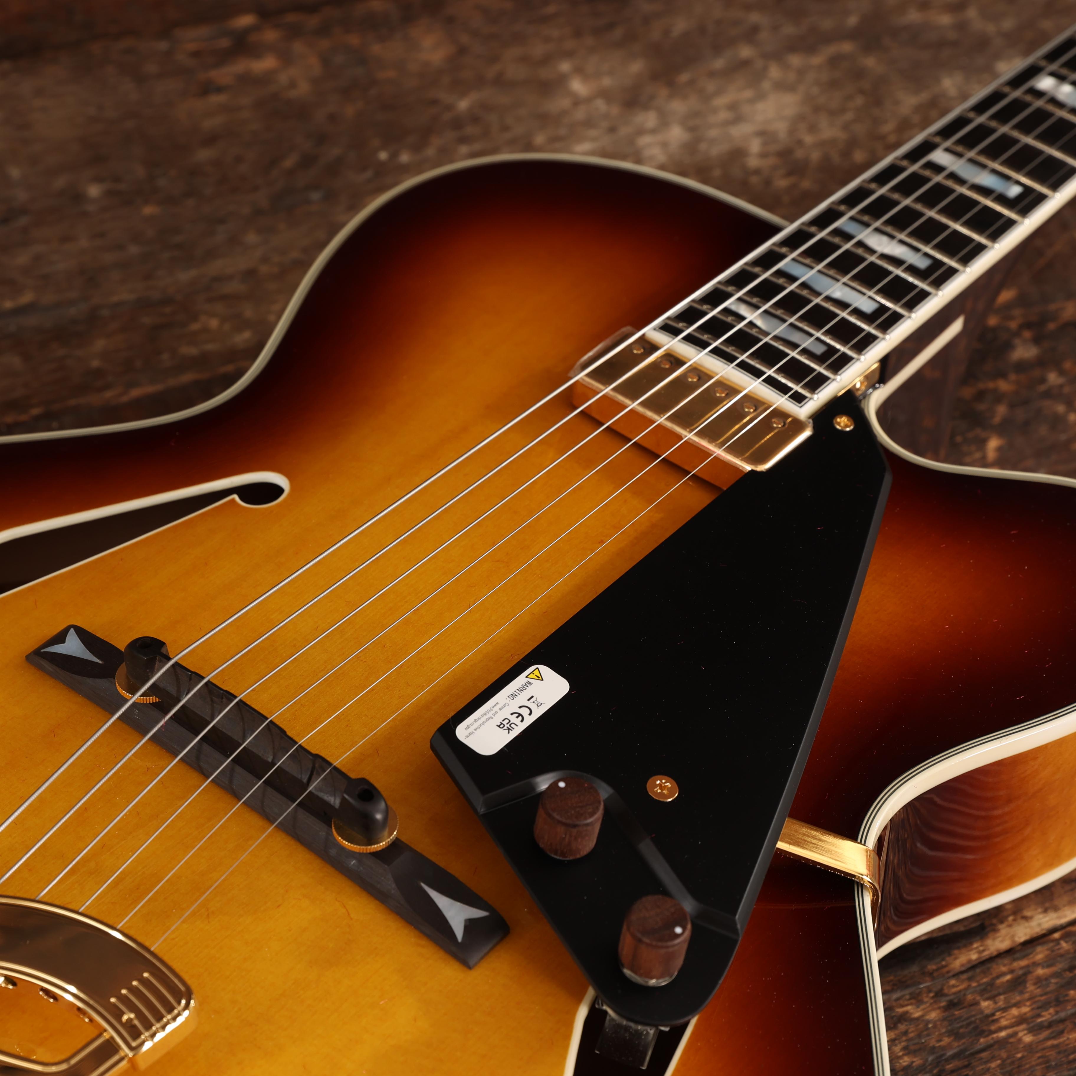 FGN Masterfield MFA-FP Hollowbody Electric Guitar in Jazz Burst